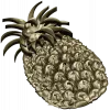 Pineapple Blossom Relief - STL 3D model for CNC milling