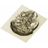 Lotus Bodhisattva High-Relief STL