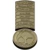N1 2009, H5N1 2007, BSE 2001, КРАХ СССР 1991, ЧЕРНОБЫЛЬ 1986). Каждая планка отделена тонкой канавкой, что при фрезеровании дает аккуратный рельеф и читаемые микроэлементы. К нижней части ленты крепится круглая медаль с полуприподнятым биологическим симво