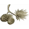 Pine Sprig with Cones - Detailed STL 3D Model for CNC