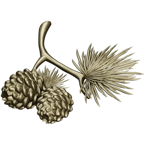 Pine Sprig with Cones - Detailed STL 3D Model for CNC
