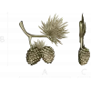 Pine Sprig with Cones - Detailed STL 3D Model for CNC