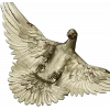 Soaring Dove Relief - 3D STL model for CNC milling
