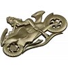 Motorcycle Muse - high-relief woman on sportbike STL