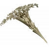 Sylvan Muse - detailed 3D STL model for CNC carving