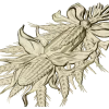 Corn & Wheat High-Relief STL for CNC