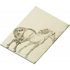 Stallion Relief STL for CNC
