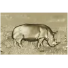 Носорог в траве - 3D панно STL для ЧПУ