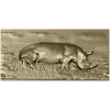 Носорог в траве - 3D панно STL для ЧПУ