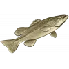 Реалистичная STL 3D модель окуня для ЧПУ - барельеф для фрезера