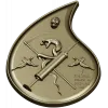 Final Drop teardrop medallion - STL 3D model for CNC