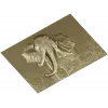 Барельеф головы слона - 3D модель STL для ЧПУ