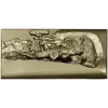 Mountain Tiger Relief