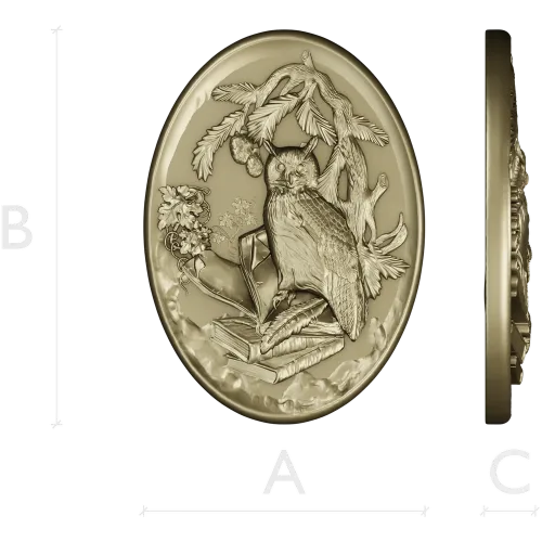 Scholar's Owl Oval Relief STL