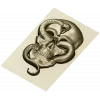 Viper's Embrace - Skull with Cobra high-relief STL