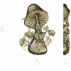 Mushroom Elder - 3D STL Relief for CNC