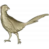 Pheasant bas-relief STL model for CNC