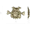 Мультяшный бульдог с косточкой - STL 3D модель для ЧПУ