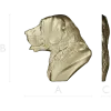 Labrador Retriever Head Relief - STL 3D Model for CNC