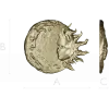 Solunar Embrace - Sun and Moon CNC STL Relief