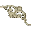 Aurelia Scroll