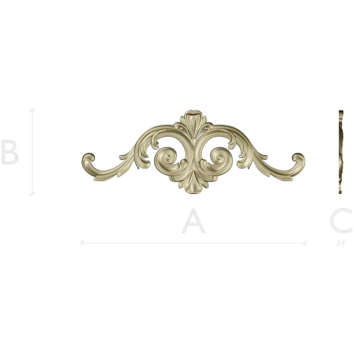 Aurelia Scroll