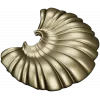 Shell Fan Relief - STL 3D model for CNC milling