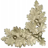 Oak Leaf and Acorn Decorative Corner STL Model for CNC