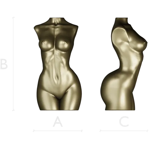 Живой торс - 3D модель женского торса в формате STL для ЧПУ