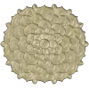 Floral Rosette Relief STL for CNC Router