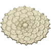 Floral Rosette Relief STL for CNC Router